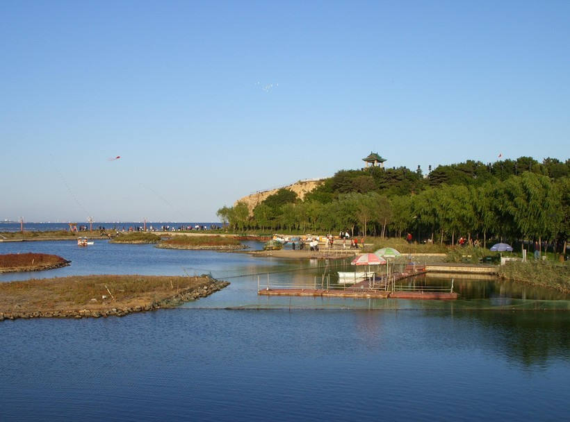 秦皇岛探秘记，小巷深处的独特风味之旅