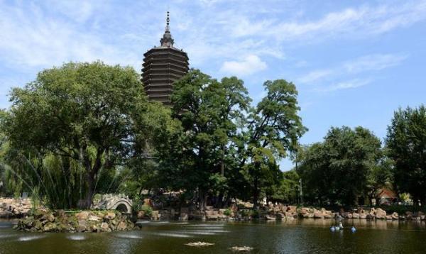 辽阳，历史文化与现代城市建设的融合与发展